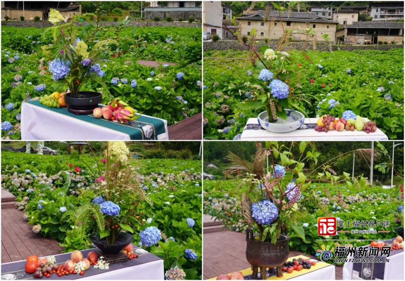促进两岸花卉文化产业融合互通！福州首个两岸共通标准8月9日起实施