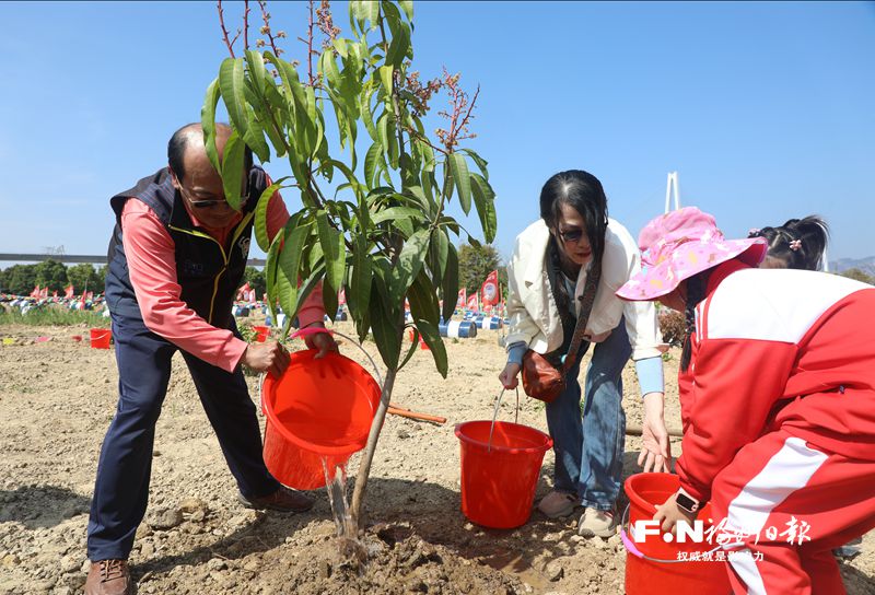 榕台同胞共植幸福树