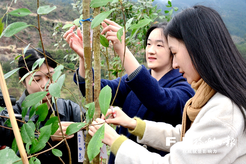 两岸姐妹共植海峡巾帼林