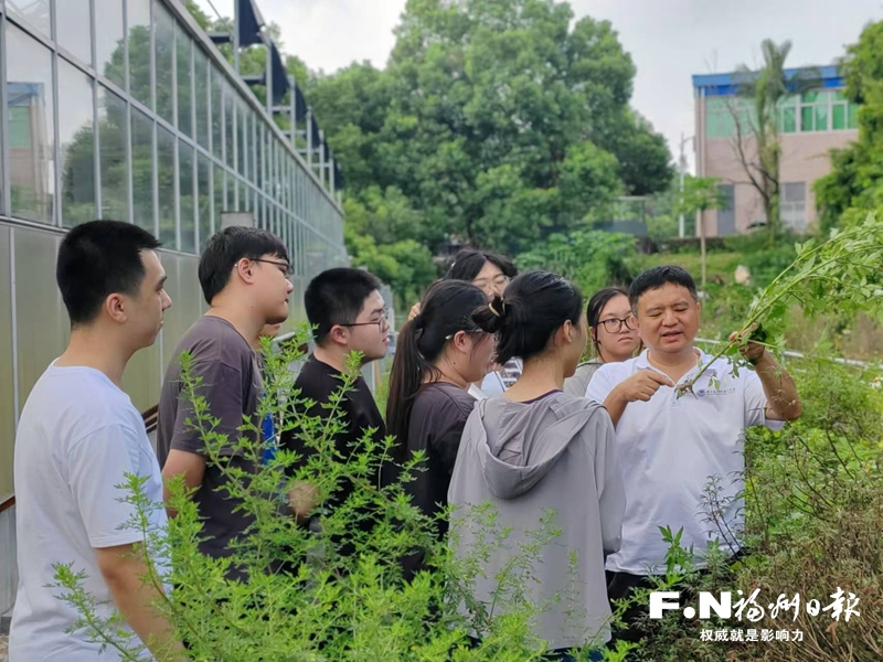 相遇 相知 相融 ——走近在榕任教的台湾教师