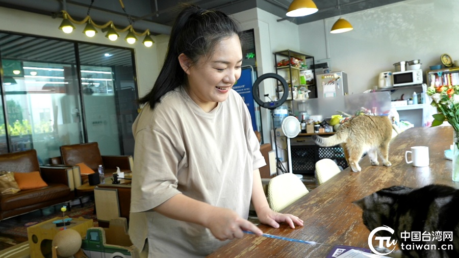 台青朱慧宁：早与厦门“融”在一起仿佛从未离开台湾