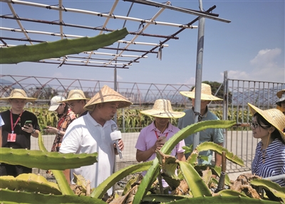 宁德举办第十届海峡青年节·“两岸同心 逐梦青春”专场活动
