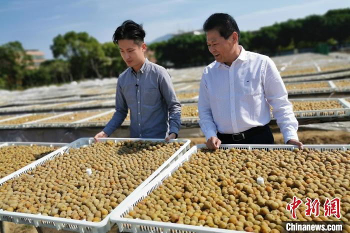 “台商二代”接力“梅”好事业  结出幸福小果