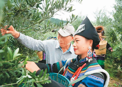 “为台胞参与大陆乡村振兴创造更好条件”