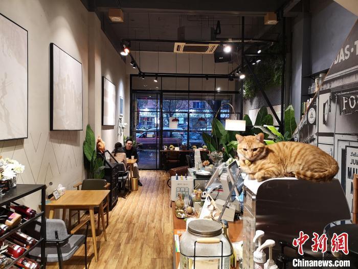 “台二代”在浙开店十年：大陆厨房烹台味收获多