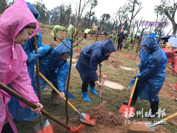 两岸姐妹共植“巾帼林”　栽下300株广玉兰和山樱花
