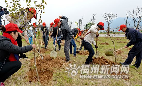 两岸青年共植“创业林” 明年市民就可来此赏花