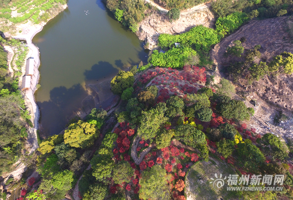 台湾园艺师北峰造山林美景  枫叶映红四月天