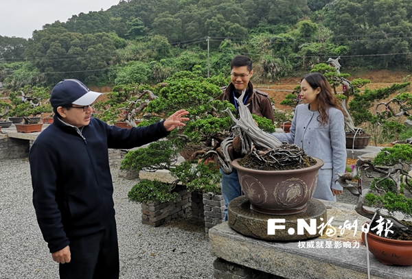 台农谢根亮的“登陆”耕耘史：两次转型　两代接力